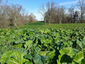 RWWP Plot Topper