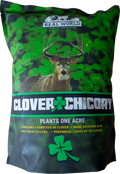 RWWP Clover Chicory