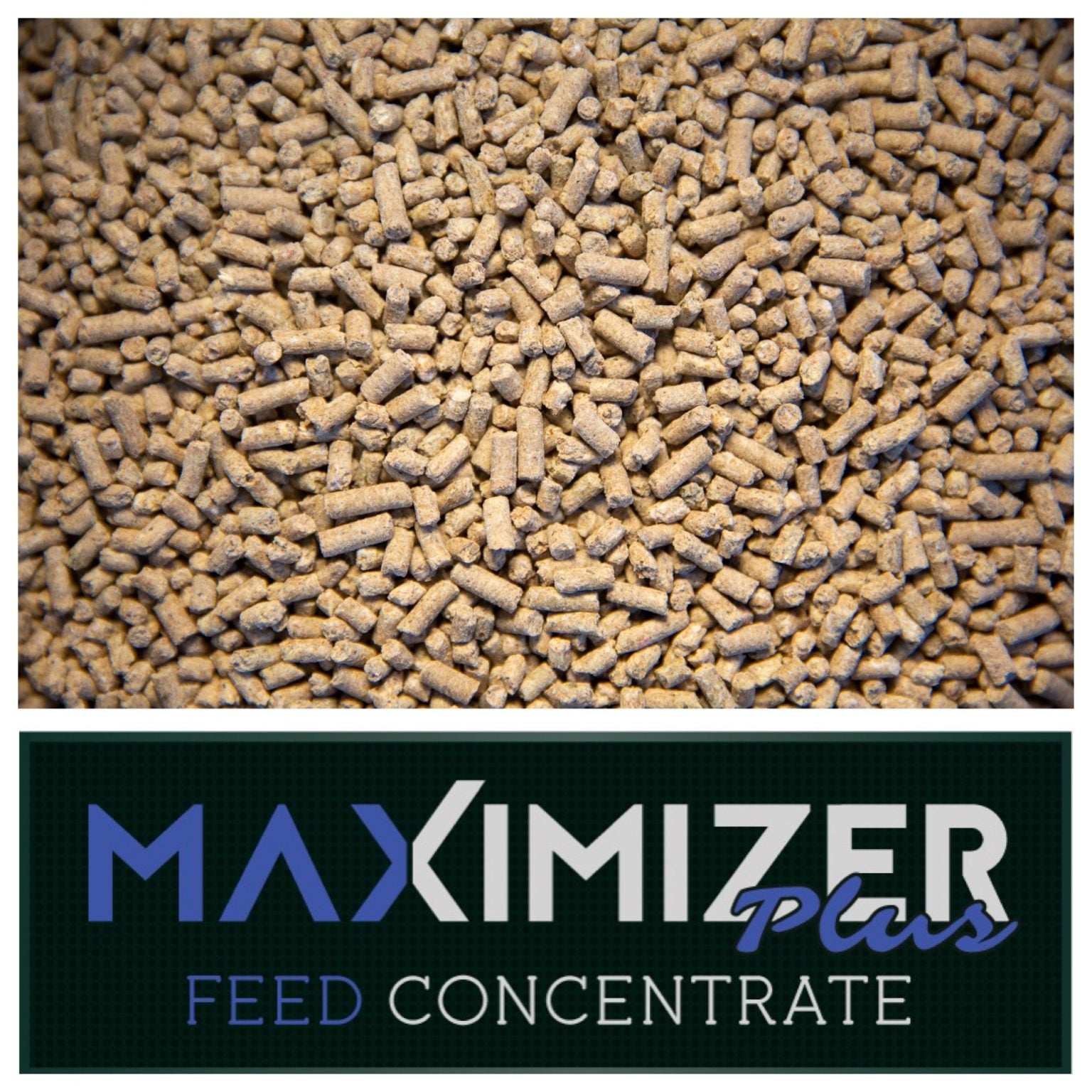 RWWP Maximizer Plus Feed Concentrate 40 lbs bag