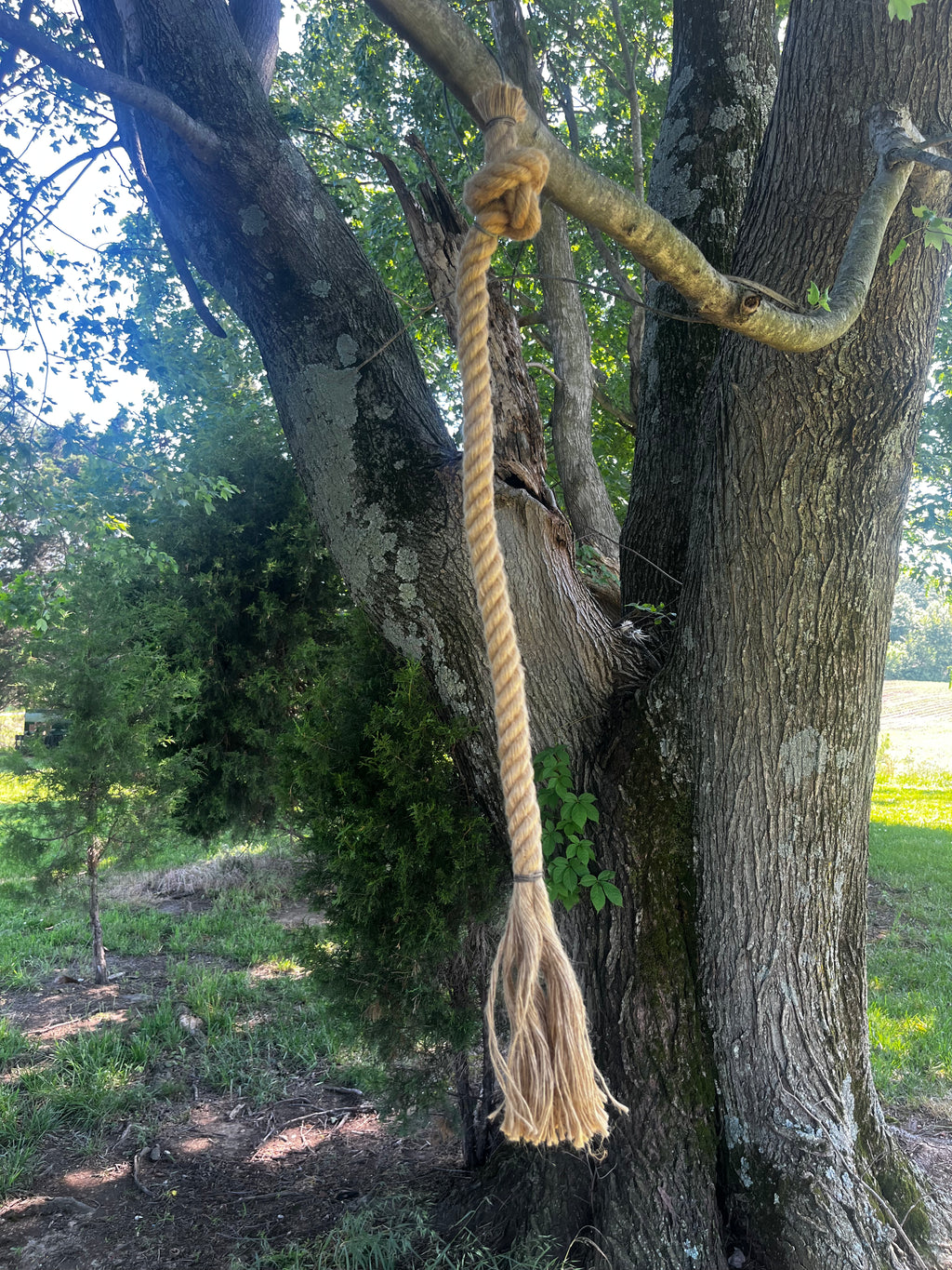 Rope Scrape Ropes